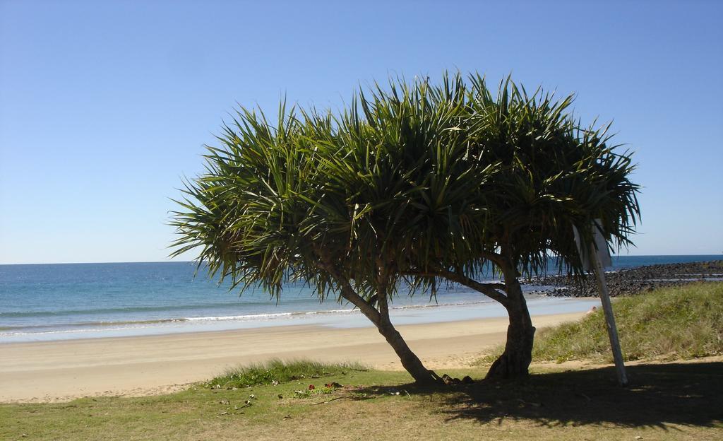 Koola Beach Apartments Bargara Exterior foto